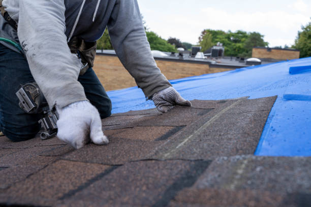 Best Flat Roof Repair Services  in West Crossett, AR